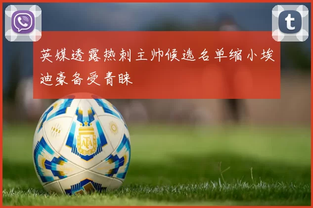 英媒透露热刺主帅候选名单缩小埃迪豪备受青睐