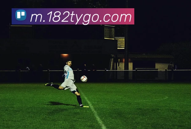 奖项图2